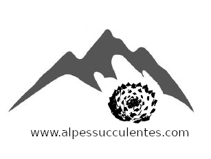 Alpes succulentes 